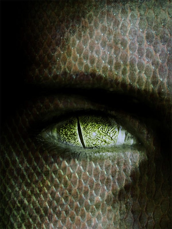 reptilian eye