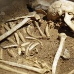 giant skeleton discovered