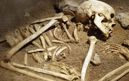 giant skeleton discovered