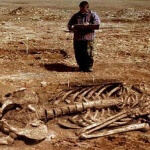 giant skeleton examined by archaeologist 2