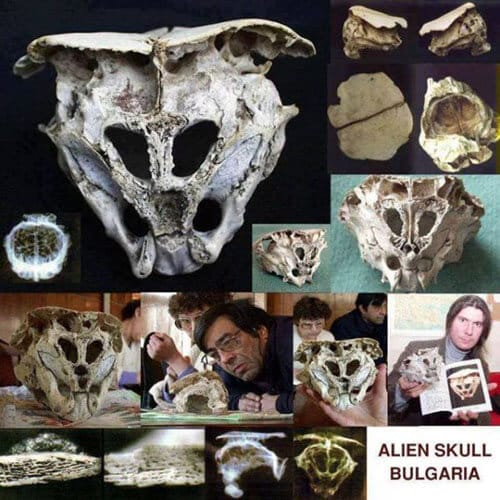 rhodorpe skull alien2