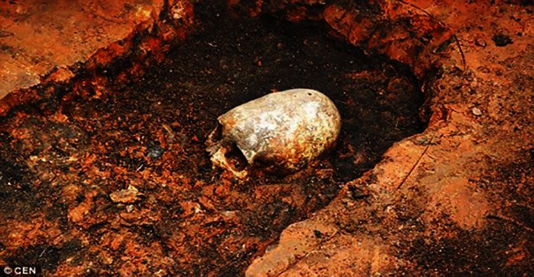 Missing Link: Skeleton With Elonged Skull Unearthed at Russia’s ...