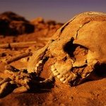 human skeleton buried in desert