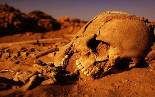 human skeleton buried in desert