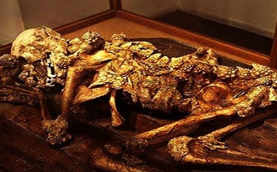Exposed By Collector – Fossilized Remains of Ancient ‘Dragon Man’