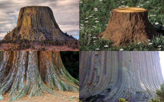Flat Earth Supporter Claims Mountains are the Ancient Remains of Gigantic Silicon Trees