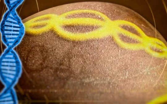 Why is there a DNA Double Helix Carved on this 7,000 Year-old Portuguese Cosmic Egg?