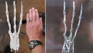 mummified alien hand peru