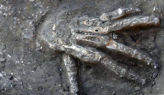 Giant Hands Dating 3,600 Years Old Recently Discovered in Egypt
